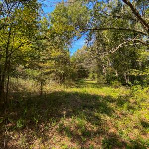 Photo #47 of SOLD property in Off Willie Pace Road, Burlington, NC 13.0 acres