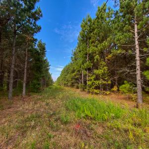 Photo #11 of SOLD property in Off Willie Pace Road, Burlington, NC 13.0 acres