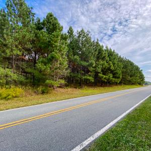 Photo #13 of SOLD property in Off Willie Pace Road, Burlington, NC 13.0 acres