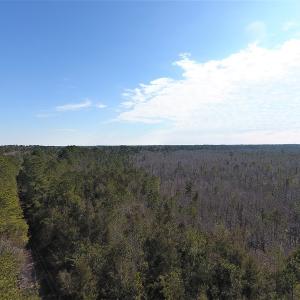 Photo #2 of SOLD property in Off NC Hwy 53 W, White Oak, NC 215.2 acres