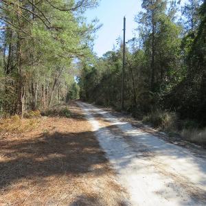 Photo #11 of SOLD property in Off NC Hwy 53 W, White Oak, NC 215.2 acres