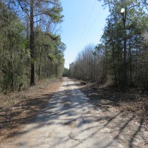 Photo #3 of SOLD property in Off NC Hwy 53 W, White Oak, NC 215.2 acres