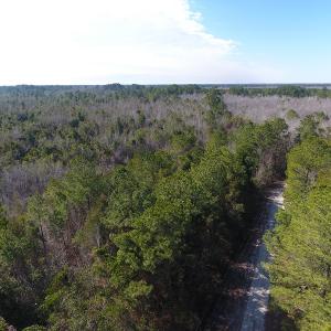 Photo #4 of SOLD property in Off NC Hwy 53 W, White Oak, NC 215.2 acres
