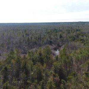 Photo #7 of SOLD property in Off NC Hwy 53 W, White Oak, NC 215.2 acres