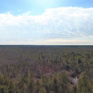 Photo #9 of SOLD property in Off NC Hwy 53 W, White Oak, NC 215.2 acres