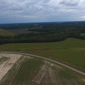 Photo #2 of SOLD property in Off Brayboy Road, Rowland, NC 10.1 acres
