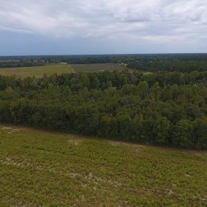 Photo #3 of SOLD property in Off Brayboy Road, Rowland, NC 10.1 acres