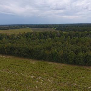 Photo #3 of SOLD property in Off Brayboy Road, Rowland, NC 10.1 acres