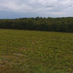 Photo #5 of SOLD property in Off Brayboy Road, Rowland, NC 10.1 acres