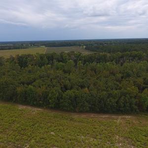 Photo #6 of SOLD property in Off Brayboy Road, Rowland, NC 10.1 acres