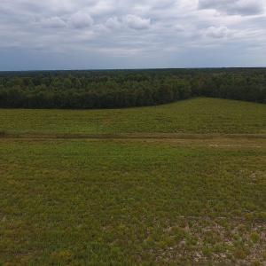 Photo #2 of SOLD property in Off Brayboy Road, Rowland, NC 10.8 acres