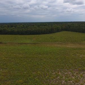Photo #2 of SOLD property in Off Brayboy Road, Rowland, NC 10.8 acres