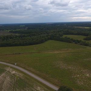 Photo #3 of SOLD property in Off Brayboy Road, Rowland, NC 10.8 acres