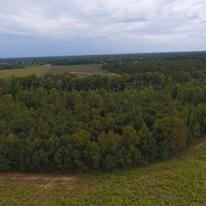 Photo #4 of SOLD property in Off Brayboy Road, Rowland, NC 10.8 acres