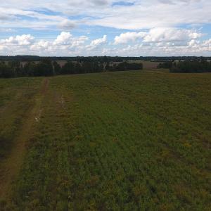 Photo #6 of SOLD property in Off Brayboy Road, Rowland, NC 10.8 acres