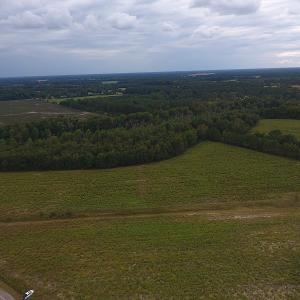 Photo #7 of SOLD property in Off Brayboy Road, Rowland, NC 10.8 acres
