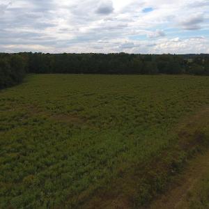 Photo #2 of SOLD property in Off Brayboy Road, Rowland, NC 11.0 acres