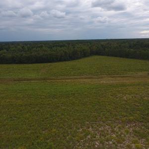 Photo #3 of SOLD property in Off Brayboy Road, Rowland, NC 11.0 acres