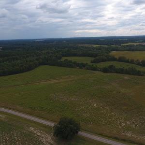 Photo #4 of SOLD property in Off Brayboy Road, Rowland, NC 11.0 acres
