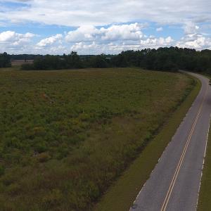 Photo #5 of SOLD property in Off Brayboy Road, Rowland, NC 11.0 acres