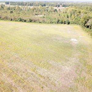 Photo #2 of 1247 Macedonia Road, Edenton, NC 83.0 acres