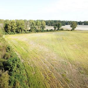 Photo #4 of 1247 Macedonia Road, Edenton, NC 83.0 acres