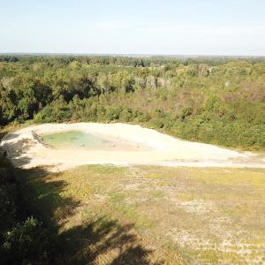 Photo #7 of 1247 Macedonia Road, Edenton, NC 83.0 acres