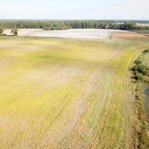Photo #9 of 1247 Macedonia Road, Edenton, NC 83.0 acres