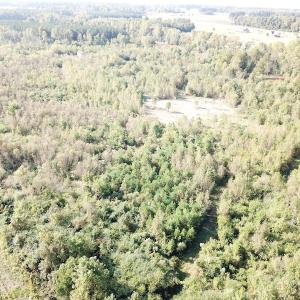 Photo #11 of 1247 Macedonia Road, Edenton, NC 83.0 acres