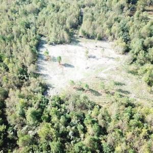 Photo #12 of 1247 Macedonia Road, Edenton, NC 83.0 acres