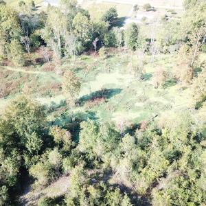 Photo #13 of 1247 Macedonia Road, Edenton, NC 83.0 acres