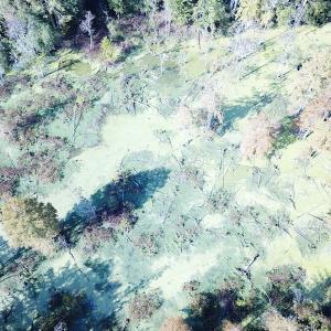 Photo #14 of 1247 Macedonia Road, Edenton, NC 83.0 acres