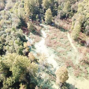 Photo #15 of 1247 Macedonia Road, Edenton, NC 83.0 acres