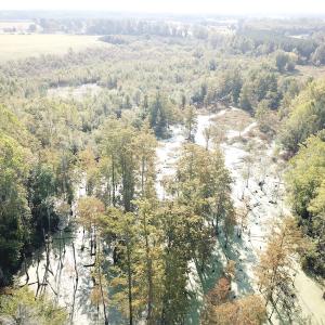 Photo #16 of 1247 Macedonia Road, Edenton, NC 83.0 acres