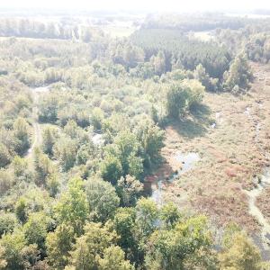 Photo #17 of 1247 Macedonia Road, Edenton, NC 83.0 acres