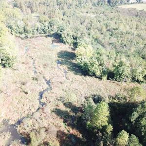 Photo #18 of 1247 Macedonia Road, Edenton, NC 83.0 acres