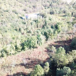 Photo #19 of 1247 Macedonia Road, Edenton, NC 83.0 acres