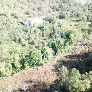 Photo #20 of 1247 Macedonia Road, Edenton, NC 83.0 acres