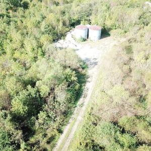 Photo #21 of 1247 Macedonia Road, Edenton, NC 83.0 acres