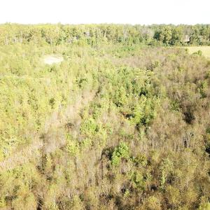 Photo #23 of 1247 Macedonia Road, Edenton, NC 83.0 acres