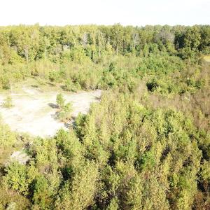 Photo #24 of 1247 Macedonia Road, Edenton, NC 83.0 acres