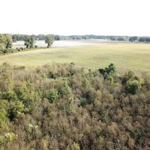 Photo #26 of 1247 Macedonia Road, Edenton, NC 83.0 acres