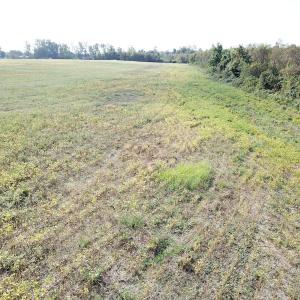 Photo #28 of 1247 Macedonia Road, Edenton, NC 83.0 acres