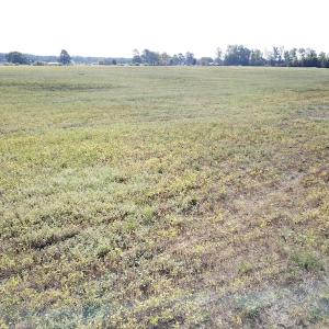 Photo #29 of 1247 Macedonia Road, Edenton, NC 83.0 acres