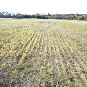 Photo #30 of 1247 Macedonia Road, Edenton, NC 83.0 acres