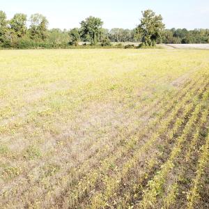 Photo #32 of 1247 Macedonia Road, Edenton, NC 83.0 acres