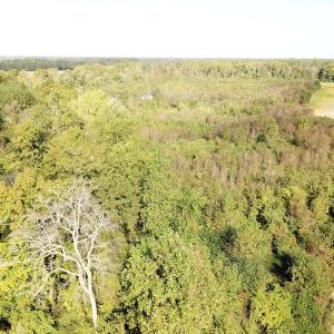 Photo #37 of 1247 Macedonia Road, Edenton, NC 83.0 acres