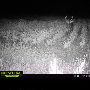 Photo #39 of 1247 Macedonia Road, Edenton, NC 83.0 acres