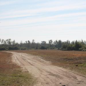 Photo #2 of 600 State Camp Road, Vanceboro, NC 89.6 acres