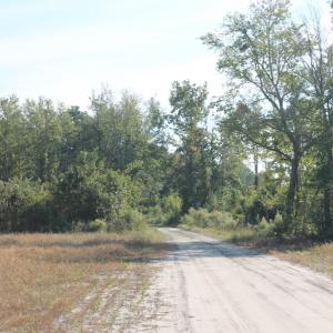Photo #3 of 600 State Camp Road, Vanceboro, NC 89.6 acres